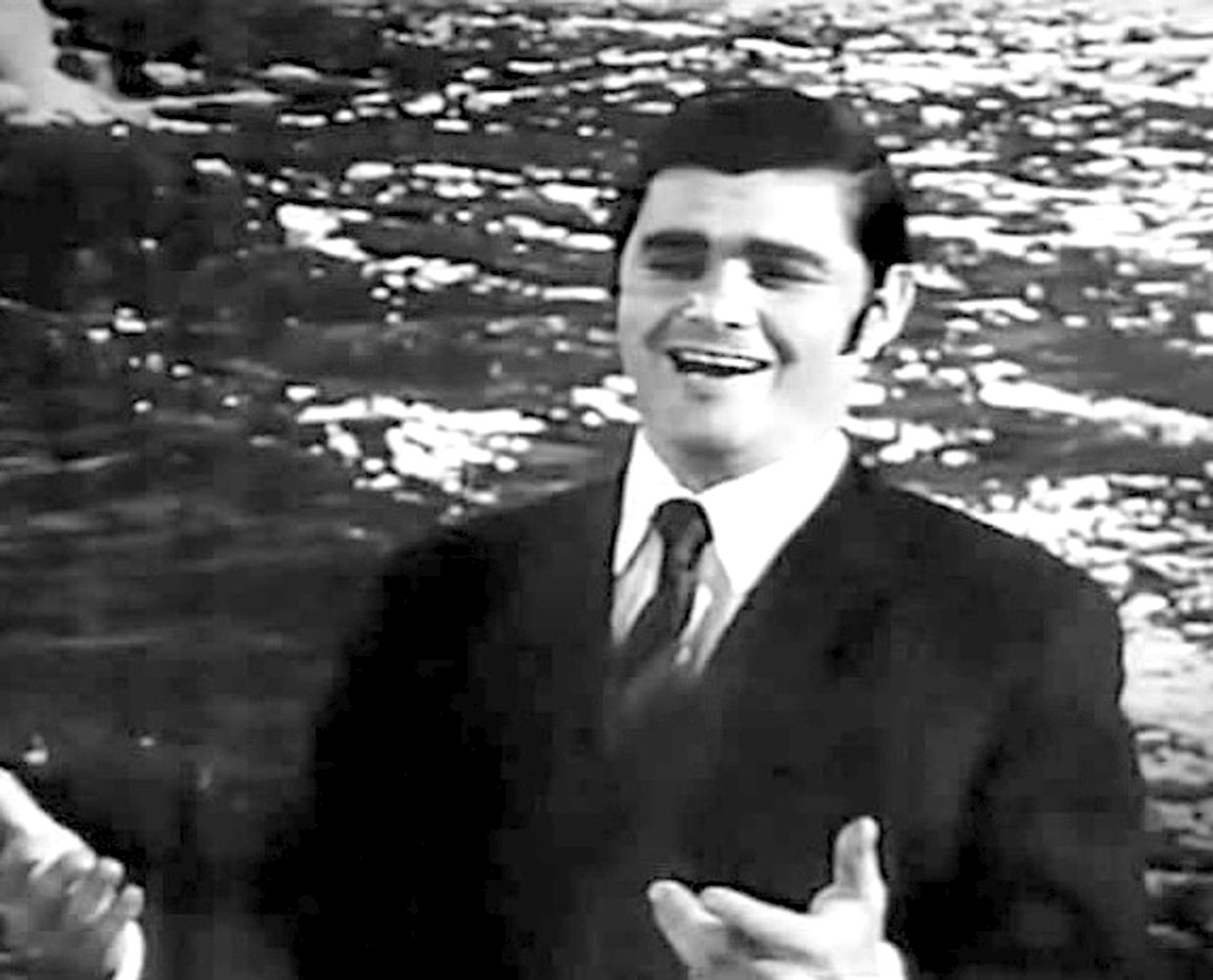 Владимир Городничий